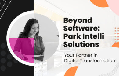 Beyond software Park Intelli Solutions